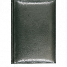 Ежедневник недатированный Visa