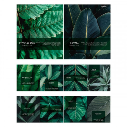 Комплект (10 шт.) предметных тетрадей 48л. «DARK TROPICS» (48-4411) стандарт, тисн. лён, вкладыш+пэт