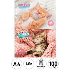 Альбом для рисования А4 40л. СПЯЩИЕ КОТЯТА (40-7882) 2 диз. в сп., гребень, офсет Альбом для рисования А4 40л. СПЯЩИЕ КОТЯТА (40-7882) 2 диз. в сп., гребень, офсет