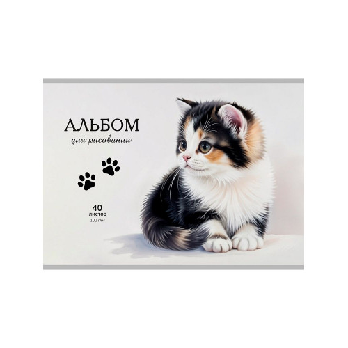 Альбом для рисования А4 40л. ЛАПКИ КОТИКА (40-7266) КБС, мелов. обл., офсет