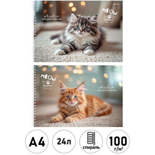 Альбом для рисования А4 24л. МИЛЫЕ КОТЯТА (24-8562) гребень, матовая лам., выб. лак, 2 диз в сп.
