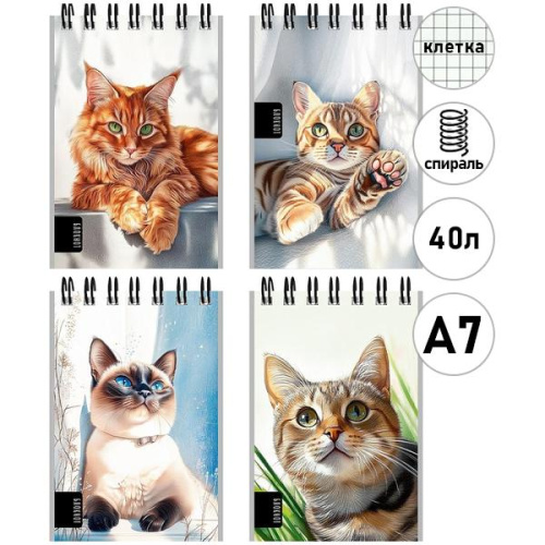 Блокнот А7 40л. на гребне НАРИСОВАННЫЕ КОТИКИ (Б40-9320) обл.-мел.кар, бл-офс,в клетку