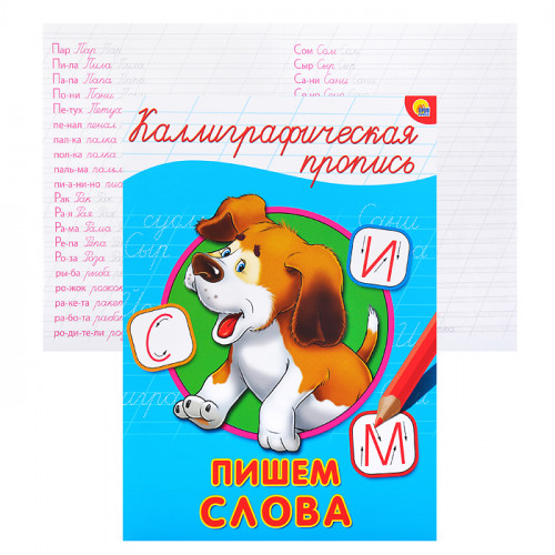 КАЛЛИГРАФИЧЕСКАЯ ПРОПИСЬ А5. альбомная. ПИШЕМ БУКВЫ И ЦИФРЫ