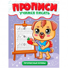ПРОПИСИ эконом УЧИМСЯ ПИСАТЬ. ПРОПИСНЫЕ БУКВЫ