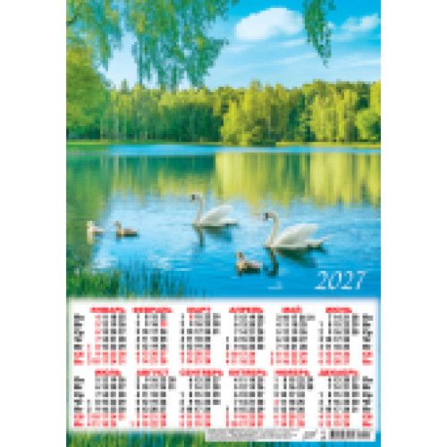 Плакат А3 (2027 календарь) Природа. Белые лебеди