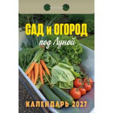 Календарь отрывной 
