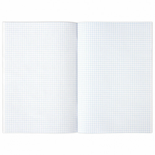 Книга учета 96 л., клетка, обложка из мелованного картона, блок офсет, А4 (200х290 мм), STAFF, 130187