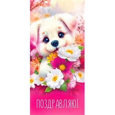 Поздравляю! 90-1675 Поздравляю! 90-1675