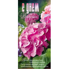 С Днем Рождения! 90-2224 С Днем Рождения! 90-2224