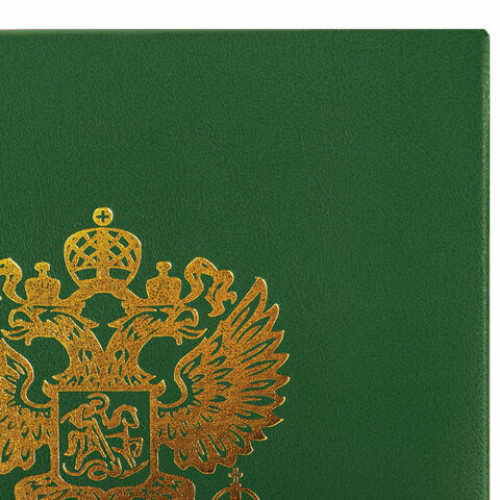 Папка адресная бумвинил с гербом России, формат А4, зеленая, индивидуальная упаковка, STAFF Basic, 129581