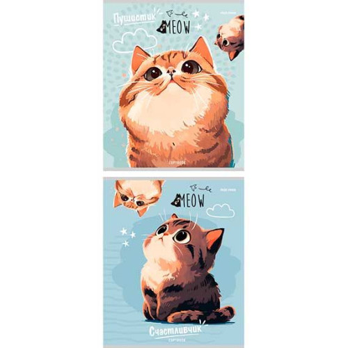 Тетрадь КЛЕТКА А5, 96л. КОТ-ПУШИСТИК (96-6320) цвет. спираль, цвет.мелов.обложка