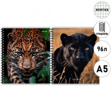 Тетрадь КЛЕТКА 96л. ДИКИЕ КОШАЧЬИ - 3 (96-9013) (170х203) СТАНДАРТ, гребень, без обр. (цв. обл.)