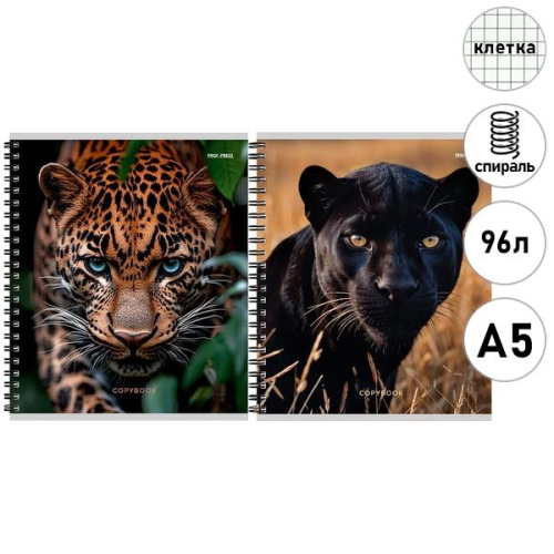 Тетрадь КЛЕТКА 96л. ДИКИЕ КОШАЧЬИ - 3 (96-9013) (170х203) СТАНДАРТ, гребень, без обр. (цв. обл.)