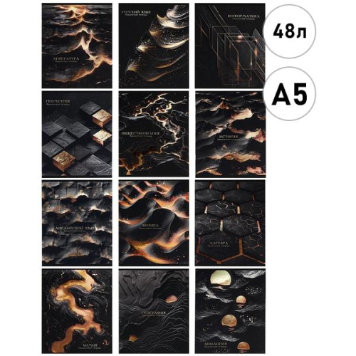 Комплект (12 шт.) предметных тетрадей 48л. «BLACK&GOLD» (48-2718) х.фол,софт-тач,выб.л,бандероль+пэт