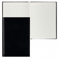 Ежедневник недатированный Visa