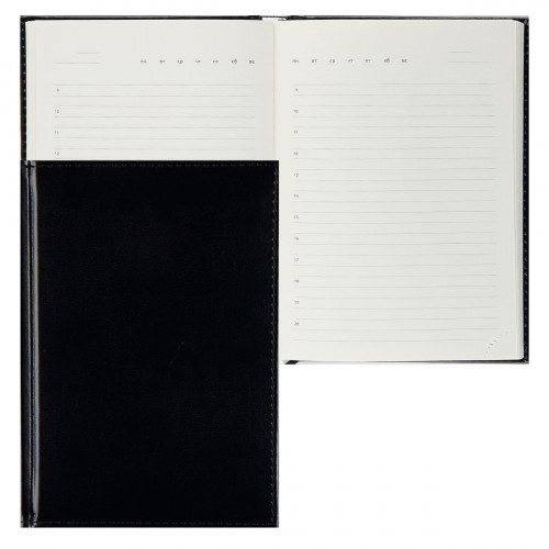 Ежедневник недатированный Visa