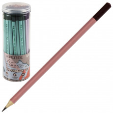 Карандаш чернографитный Triolino Marandi