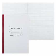 Книга учета бухгалтерская/15932