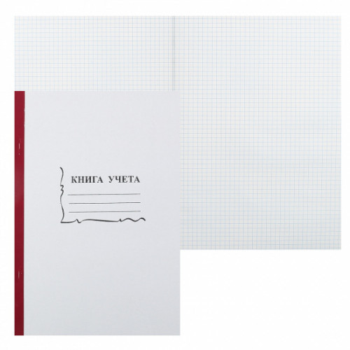Книга учета бухгалтерская/15932