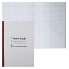 Книга учета бухгалтерская/13940