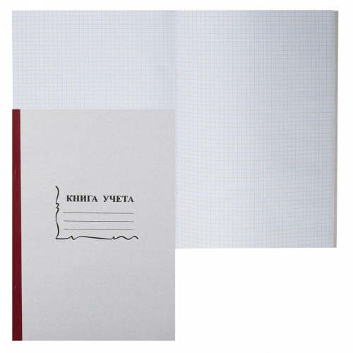 Книга учета бухгалтерская/13940
