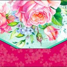 Без названия90-114-C Без названия90-114-C