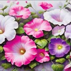 Без названия90-1584 Без названия90-1584