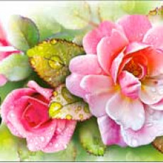 Без названия 90-1183-Т Без названия 90-1183-Т