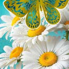 Поздравляем! 90-1717-М