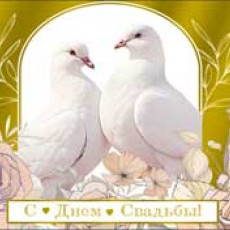 С Днем свадьбы! 90-1685-М