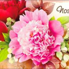 Поздравляем! 90-3696-Т