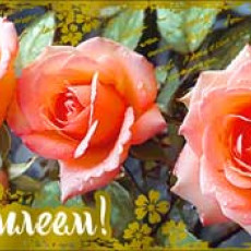 С Юбилеем! 90-1702-М