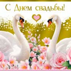 С Днем свадьбы! 90-1687-M