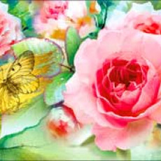 Без названия 90-1183 Без названия 90-1183