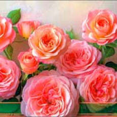 Без названия 90-1589 Без названия 90-1589