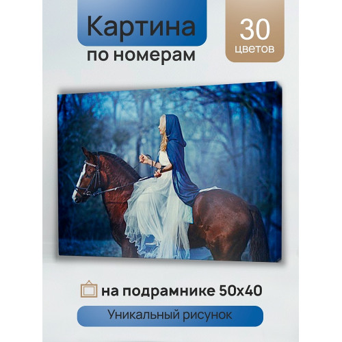 Холст с красками 40х50 см по номерам (в коробке) (30цв.) Таинственная наездница (Арт.Х-4589)