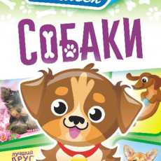 Собаки