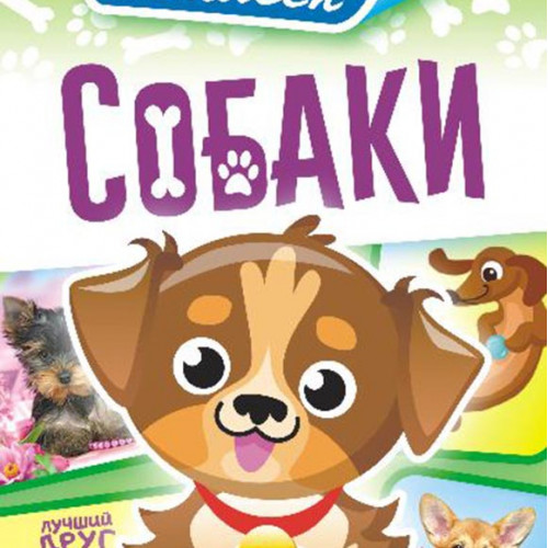 Собаки