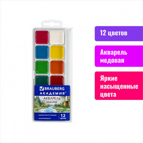 Краски акварельные BRAUBERG АКАДЕМИЯ 12 цветов, медовые, квадратные кюветы, пластиковый пенал, 191805