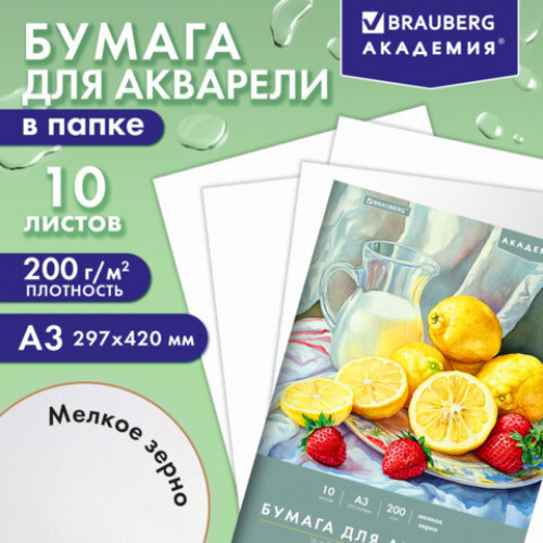 Папка для акварели БОЛЬШАЯ А3, 10 л., 200 г/м2, 297х420 мм, BRAUBERG АКАДЕМИЯ, Летний натюрморт, 117741