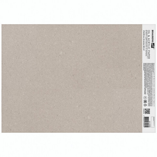 Альбом для акрила и масла, 300 г/м2, 270х390 мм, 10 листов, склейка, тиснение холст, BRAUBERG ART PREMIERE, 113268