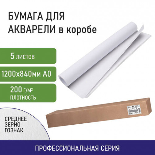 Бумага для акварели А0 (1200х840 мм), 5 листов, среднее зерно, 200 г/м2, ГОЗНАК, BRAUBERG ART CLASSIC, 114487