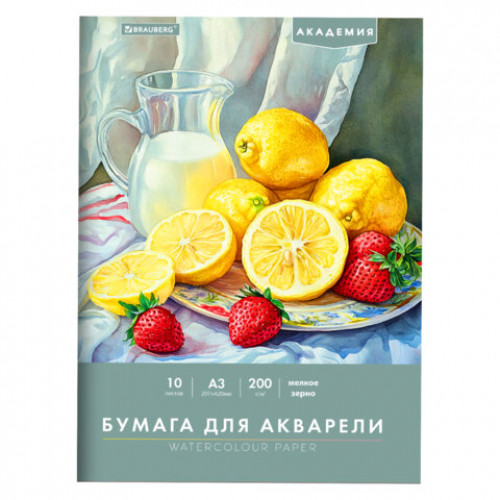 Папка для акварели БОЛЬШАЯ А3, 10 л., 200 г/м2, 297х420 мм, BRAUBERG АКАДЕМИЯ, Летний натюрморт, 117741