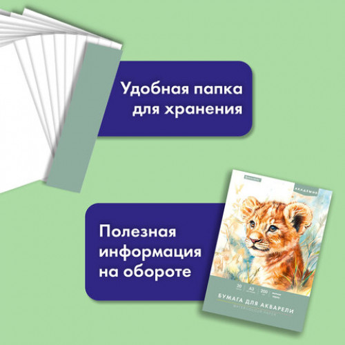 Папка для акварели БОЛЬШАЯ А3, 20 л., 200 г/м2, 297х420 мм, BRAUBERG АКАДЕМИЯ, Львёнок, 117745