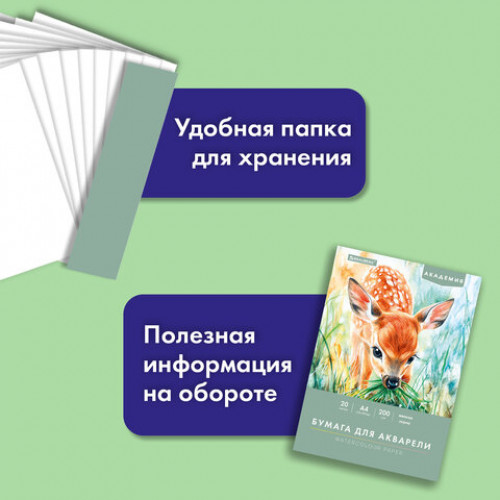 Папка для акварели А4, 20 л., 200 г/м2, 210х297 мм, BRAUBERG АКАДЕМИЯ, Оленёнок, 117746