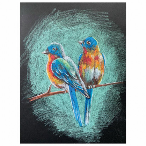 Альбом для пастели, картон ЧЕРНЫЙ тонированный 630 г/м2, 207x297 мм, 10 л., BRAUBERG ART CLASSIC, 105918