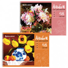 Альбом для рисования, А4, 48 л., гребень, обложка картон, BRAUBERG ЭКО, 205х290 мм, Живопись (2 вида), 105108 Альбом для рисования, А4, 48 л., гребень, обложка картон, BRAUBERG ЭКО, 205х290 мм, Живопись (2 вида), 105108
