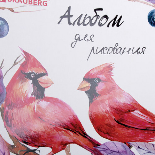 Альбом для рисования, А4, 40 л., гребень, выборочный лак, подложка, внутренний блок 120 г/м2, BRAUBERG, 205х290 мм, Птицы (2 вида), 105103