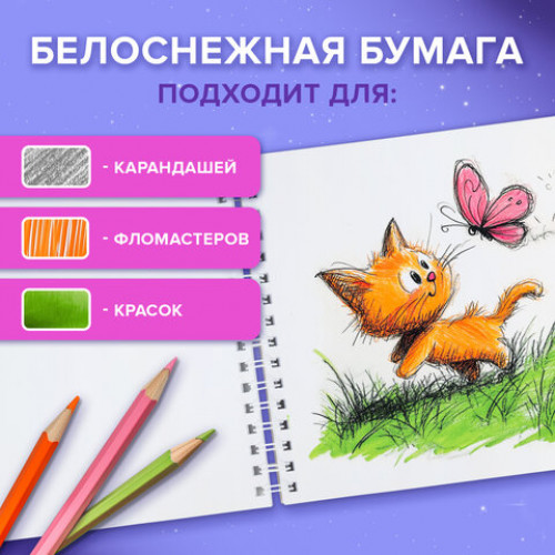 Альбом для рисования, пластиковая обложка, А4, 40 л., гребень, BRAUBERG, 210х297 мм, АССОРТИ-2 (8 видов), 107683