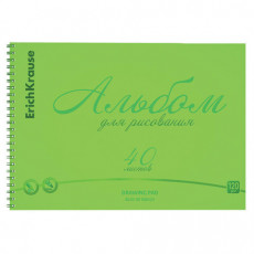 Альбом для рисования обложка пластик, А4, 40 л., гребень, 120 г/м2, перфорация, Erich Krause, Neon, зеленый, 58605 Альбом для рисования обложка пластик, А4, 40 л., гребень, 120 г/м2, перфорация, Erich Krause, Neon, зеленый, 58605